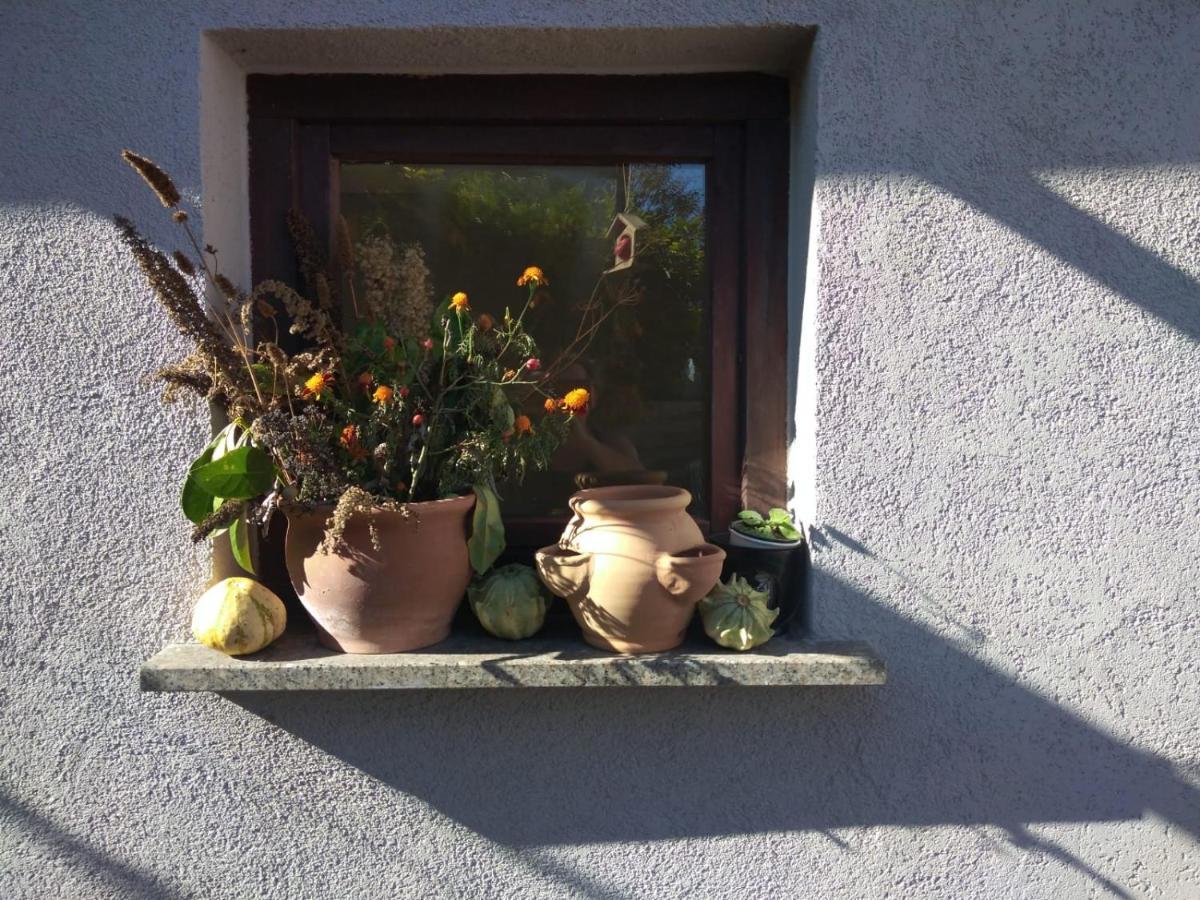 Ferienhaus Badetz Eksteriør billede